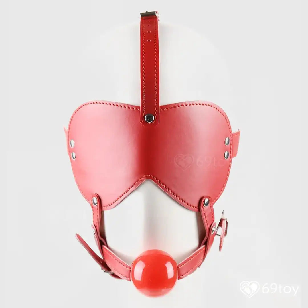 Strict Blindfold Harness & Ball Gag BDSM Set